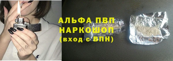 индика Армянск