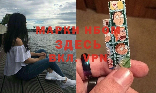 индика Армянск