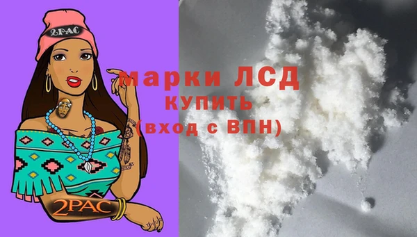 круглые Аркадак