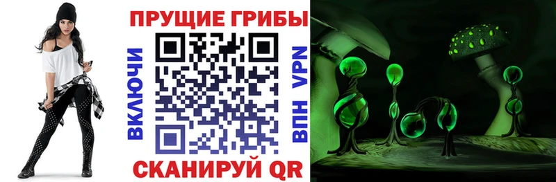купить закладку  Петушки  Галлюциногенные грибы ЛСД 